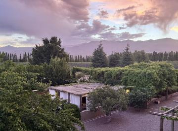 Casa · 640ha · 14 Ambientes · Finca en El Cepillo, 90 Ha, Valle del Uco, Provincia de Mendoza