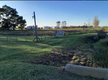 Campo · 400000m² · 1 Ambiente · Venta de Campo en Las Flores