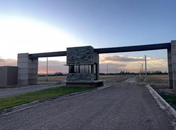 Terreno , San Rafael · Terreno en Venta