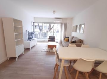 Departamento · 52m² · 2 Ambientes · Divino Departamento Amoblado y Equipado, Corazon de Pal Holywood, Psicina y Parrilla
