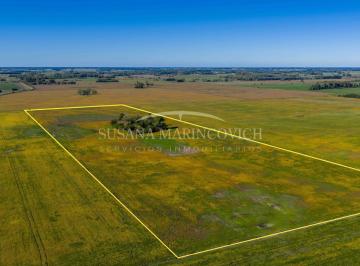 Campo · 170000ha · Campo de 17ha en Cucullu - San Andres de Giles