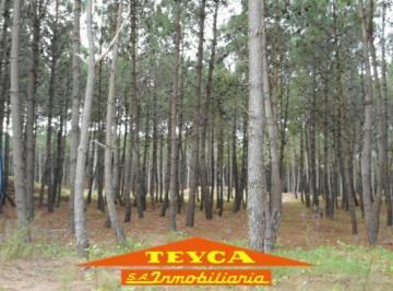 Terreno · 1070m² · Lote | Boulevard Florentino Ameghino