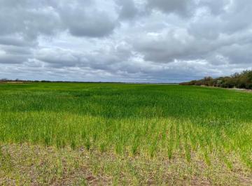 Terreno , Cañada de Luque · Campo Zona Cañada de Luque
