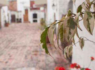 PH · 65m² · 3 Ambientes · Hermoso Duplex en Complejo Privado - S. Fer. - Vias/libert.