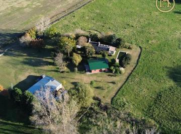 Casa de 8 ambientes, San Andrés de Giles · Chacra 2.6 Ha en San Andrés de Giles: 2 Casas con Arboleda
