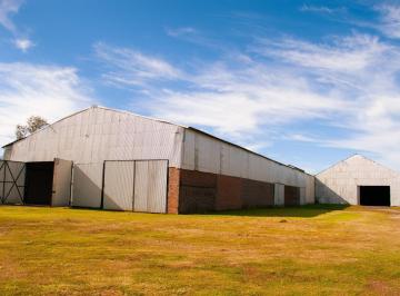 Bodega-Galpón · 8350m² · Nave 8200 m² - Ruta 21 Km 3,5 - Alvear