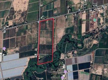 Quinta vacacional · 162m² · 2 Dormitorios · Venta Finca Productiva 12 Ha Algarrobal Mendoza