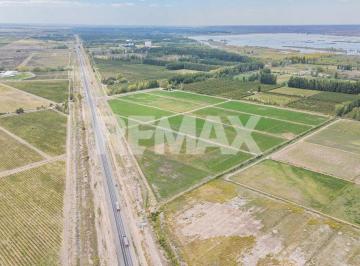 Terreno · 181478m² · En Venta Chacra Frente de Ruta 7 S. P del Chañar