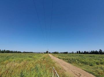 Terreno · 670818m² · Venta Campo Zona Norte Rn 174