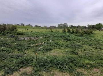 Campo · 3ha · Venta Chacra 31.730 m² Gral. Rod. R. 24 Km 7.5