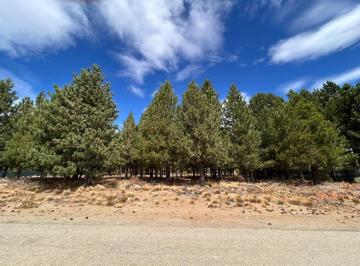 Terreno · 5020m² · Venta Lote en Bº Girasoles del Limay Dina Huapi