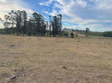 Terreno · 12986m² · Venta de Campo 1ha y 2.986 m² Cerca de Suarez