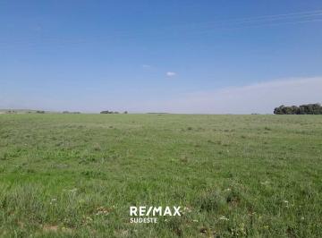 Terreno · 2000m² · Lote 2000 m en Acceso a Tornquist