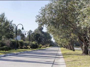 Terreno · 833m² · Lote 833 m² en Venta Saint Thomas Centro - Permuta