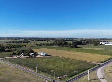 Campo · 15ha · Venta Campo de 14,57 Ha en San Nicolás