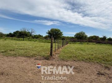 Campo · 419ha · Campo 419 Has - Ganadero - Venta - Colonia Guayaibi