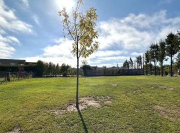Terreno · 841m² · Lote en Venta en Cul de Sac San Rafael Villanueva
