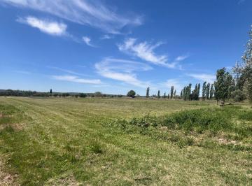 Terreno · 7000m² · Venta Terreno Interno en Perdriel 7.000 m²