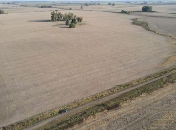 Campo , Gualeguaychú · 220 Hectáreas Campo Agrícola en Gualeguaychú.