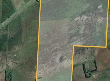 Campo · 2920000ha · Campo - Rauch