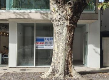 CSS-CSS-300_2 · Local. | Nogoyá Al 4000