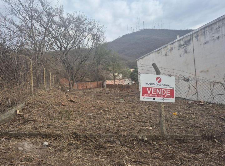 Terreno
