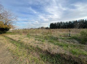 Terreno · 10000m² · 1 Hectárea en Venta en Cañuelas