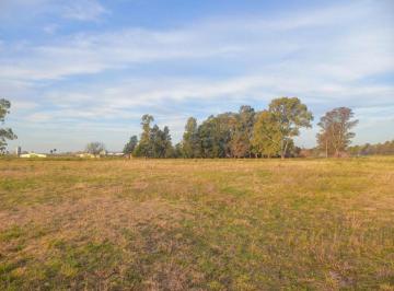 Terreno · 140000m² · Terreno en Venta - 140.000 m² - San Andrés de Giles