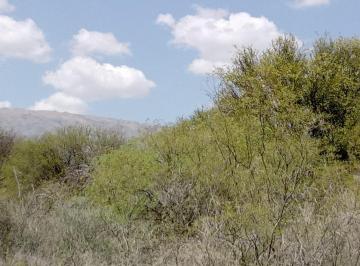 Terreno · 5625m² · Venta Lote 5625 m Merlo San Luis