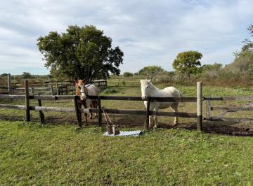 Campo · 81m² · 3 Ambientes · Venta Campo, Lomas de Rio Lujan - Campana