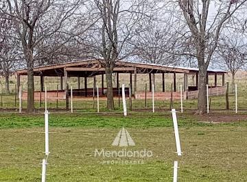 Campo · 16000m² · Campo - 16 Hectáreas con Infraestructura / La Ballenera, Gral. Alvarado