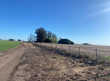Campo · 35000m² · Campo - 35 Hectáreas Apto Kiwi / La Ballenera, Gral. Alvarado
