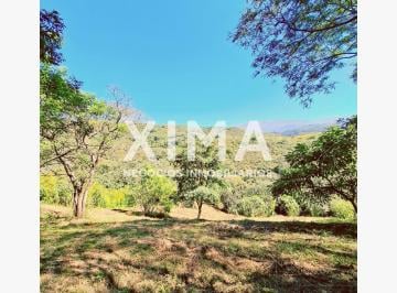 Terreno · 3996m² · Terreno en Venta La Aguada