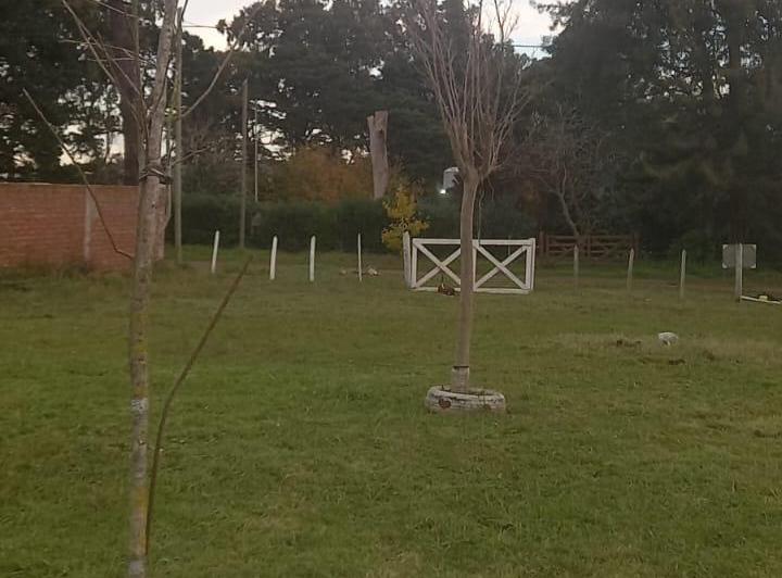 Terreno · 540m²