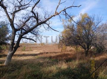 Terreno · 3181m² · Venta Terreno en Perdriel, Luján de Cuyo