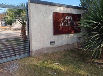 Terreno , El Sauce · Lote con Quincho y Pileta