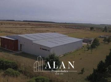 Bodega-Galpón · 20000m² · Galpon 1000 m² Cubtos Sobre Predio 2 Ha