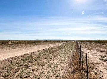 Campo · 150000000m² · 1 Ambiente · Venta Campo 15000 Ha Departamento Lihuel Calel La Pampa