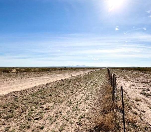 Campo · 15000m² · 1 Ambiente
