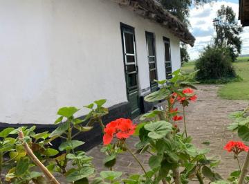 Campo , Las Flores · En Venta Dueño Directo. Estancia La Atropellada Cuartel V Las Flores. 608 Hectar