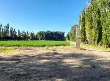 Campo · 178m² · 2 Ambientes · 1 Cochera · Venta - Chacra 12 Ha - Alfalfa - Cervantes - Rio Negro