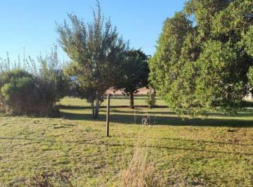 TYK-TYK-281_2 · Casa 4 Ambientes. | 30 Al 800
