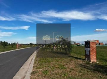 Terreno · 604m² · Glm. Venta Lote Espacio Verde en Village Joven