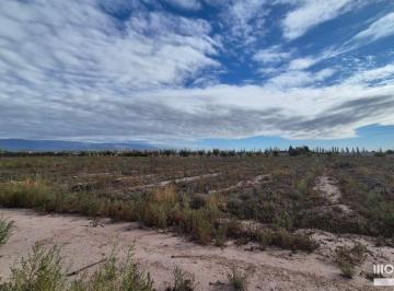 Campo , Maipú · Venta / Espectacular Finca Sobre Calle Vieytes