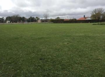 Terreno · 3600m² · Venta en Bloque de 4 Terrenos - 40x90 m - 3600 m² Totales - Olavarria
