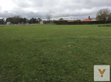 Terreno · 3600m² · Venta en Bloque de 4 Terrenos - 40x90 m - 3600 m² Totales - Olavarria