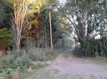 Terreno · 336m² · Terreno en Venta - - 336.15 m - Aguas Verdes
