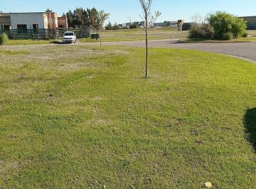 Terreno · 870m² · Glm. Venta de Lote en Barrio San Sebastian Area 7