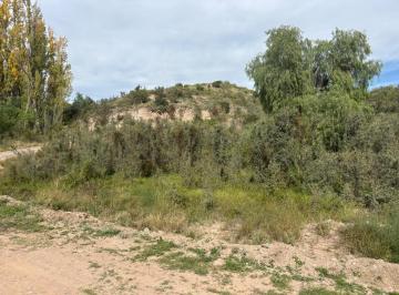 Terreno · 10800m² · Terreno en Lujan de Cuyo