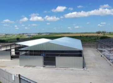 Bodega-Galpón · 1700m² · Nave Industrial en Rosario